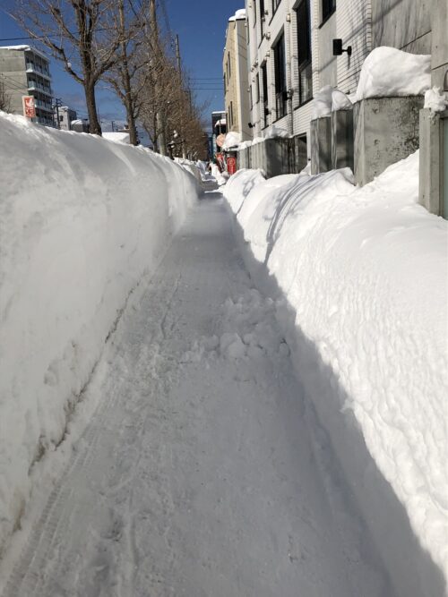 雪の歩道