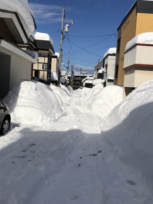 ゆきの中道